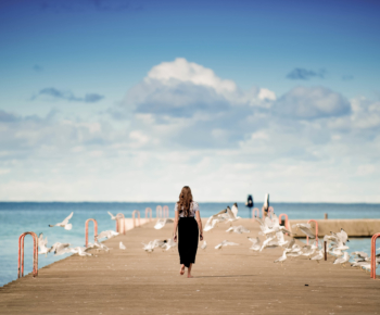 Wandelcoaching: de krachtige combinatie van wandelen & coaching